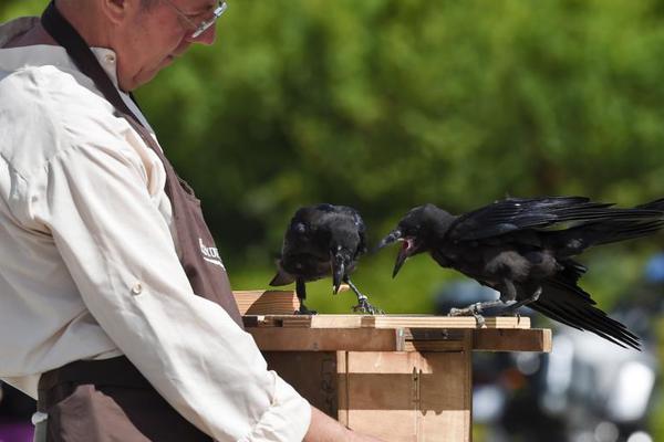 《三國殺OL》金蘭節(jié)行將來襲，老友招募熾熱敞開